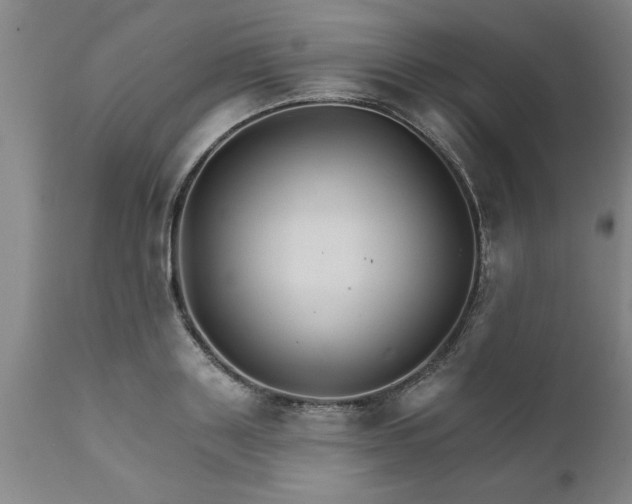 X0000111820843200907301255