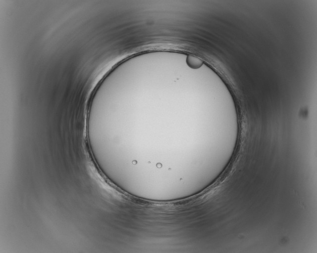 X0000111820844200907301255