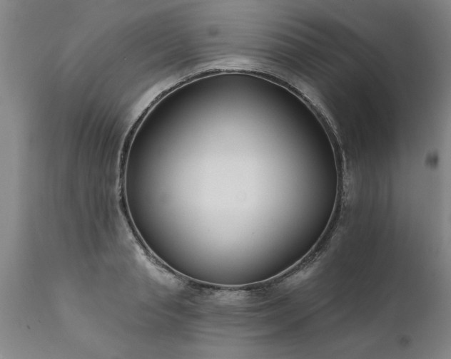 X0000111820845200907301255