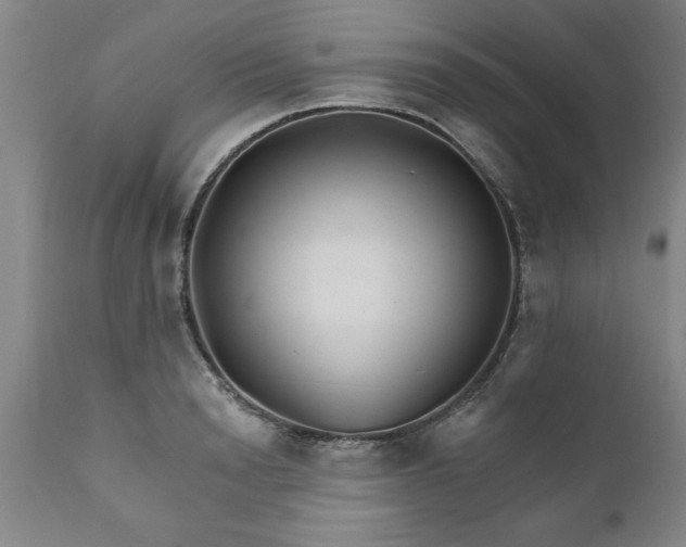 X0000111820846200907301255