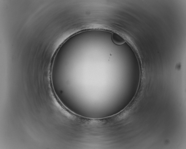 X0000111820847200907301255