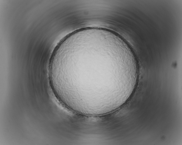X0000111820848200907301255