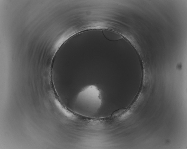 X0000111820850200907301255