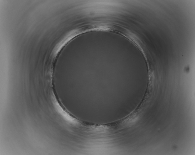 X0000111820851200907301255