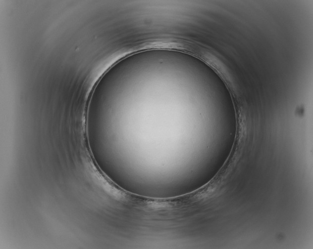 X0000111820852200907301255
