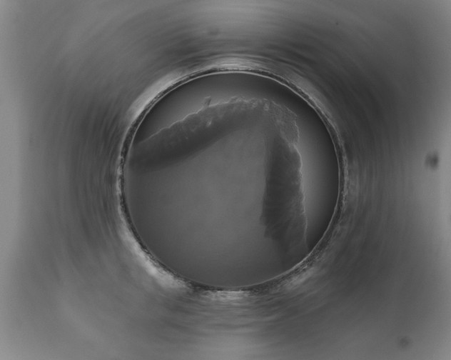 X0000111820853200907301255