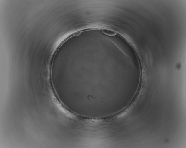 X0000111820854200907301255