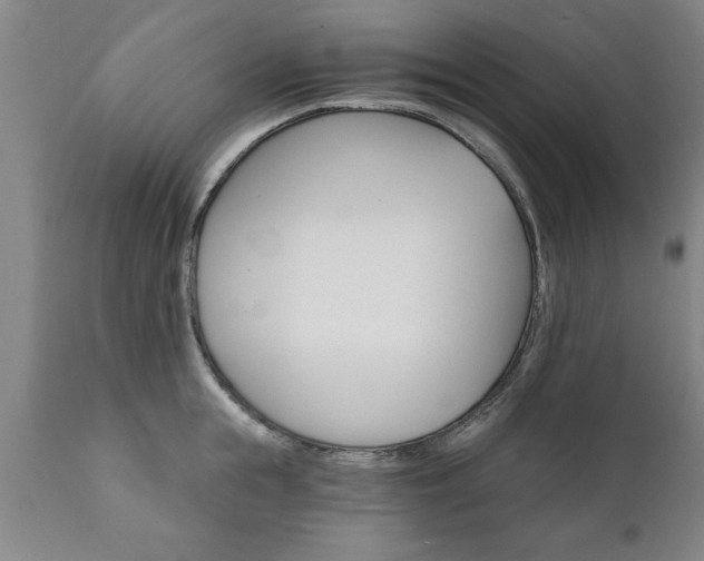 X0000111820855200907301255