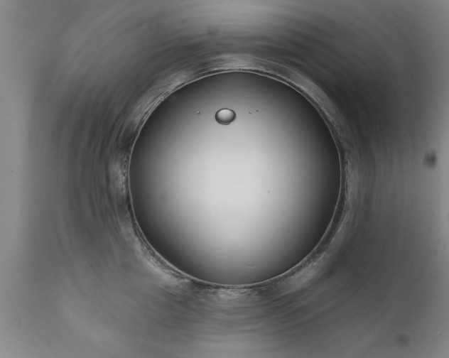 X0000111820857200907301255