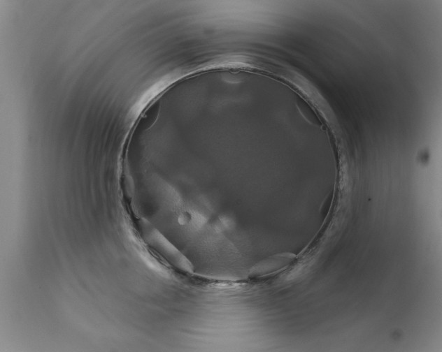 X0000111820858200907301255