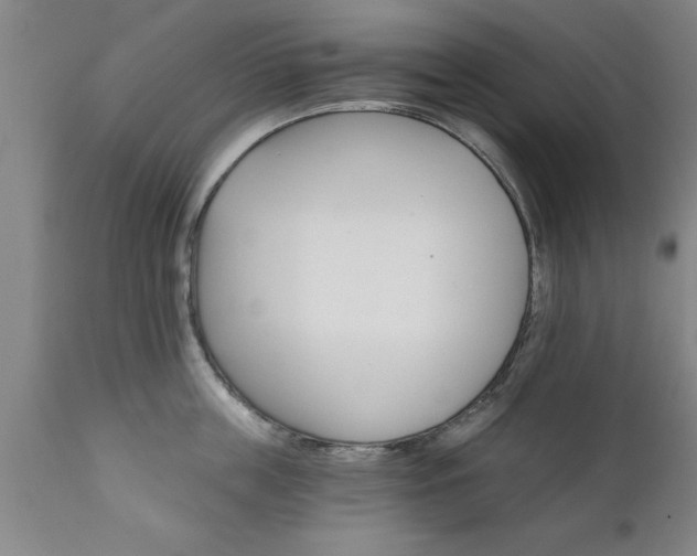 X0000111820859200907301255