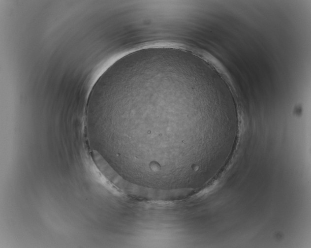 X0000111820860200907301255