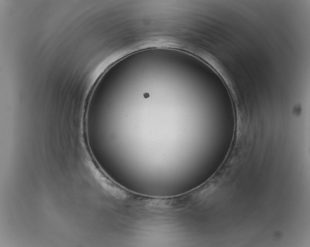 X0000111820861200907301255