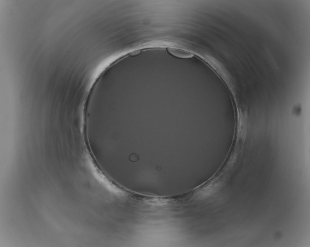 X0000111820862200907301255