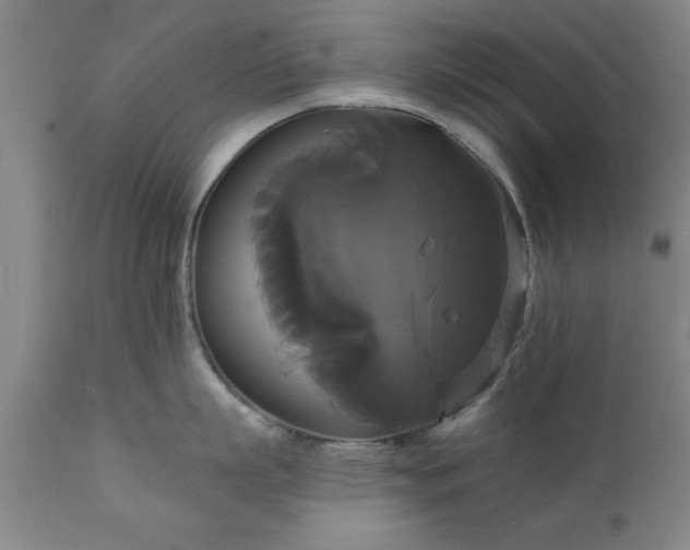 X0000111820863200907301255