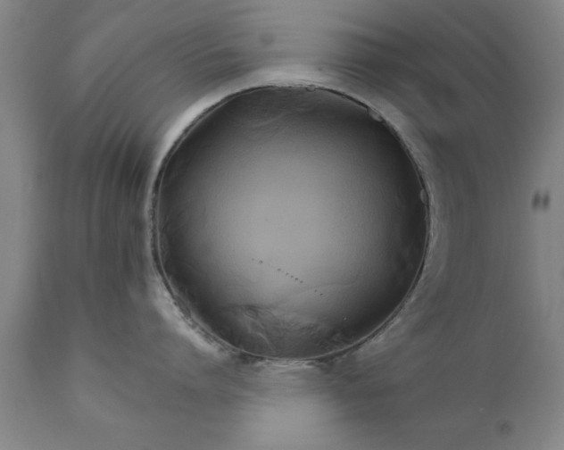 X0000111820864200907301255