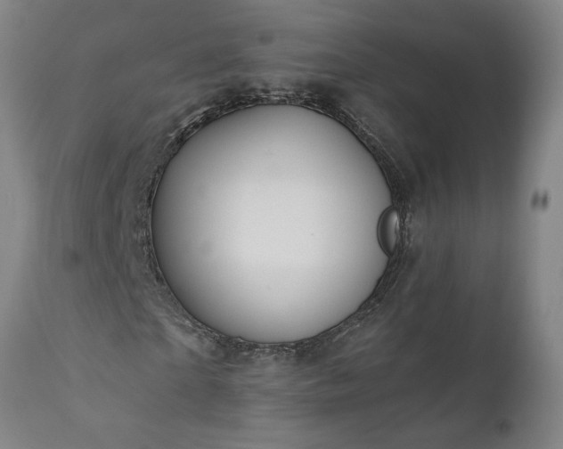 X0000111820865200907301254