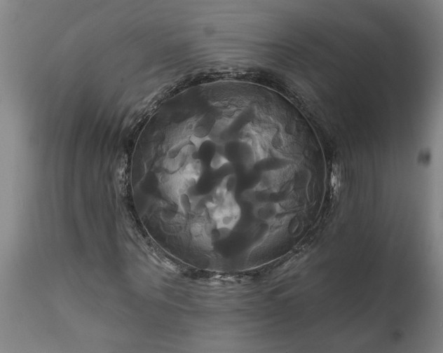 X0000111820867200907301254