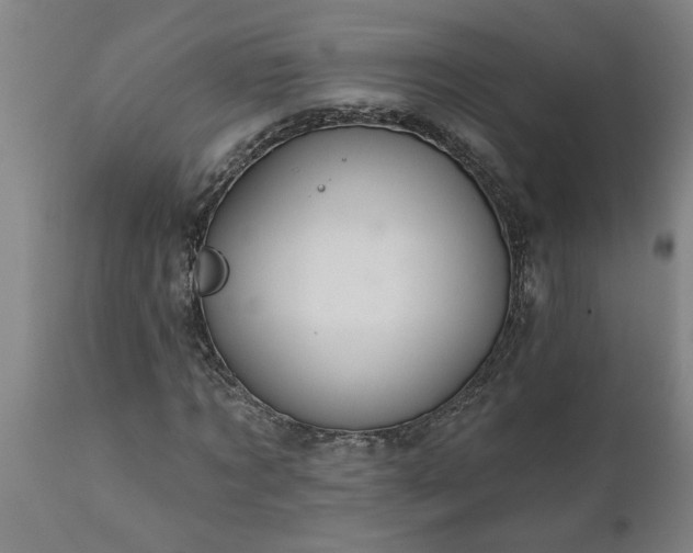 X0000111820869200907301254