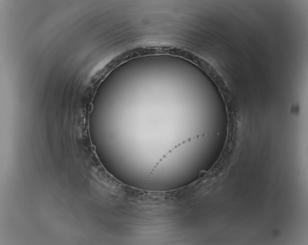 X0000111820871200907301254