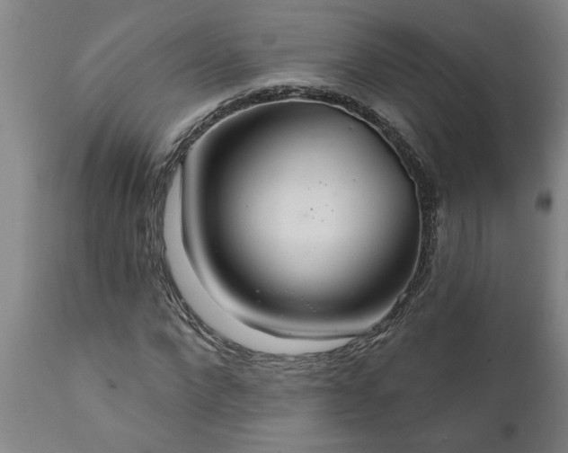X0000111820872200907301254