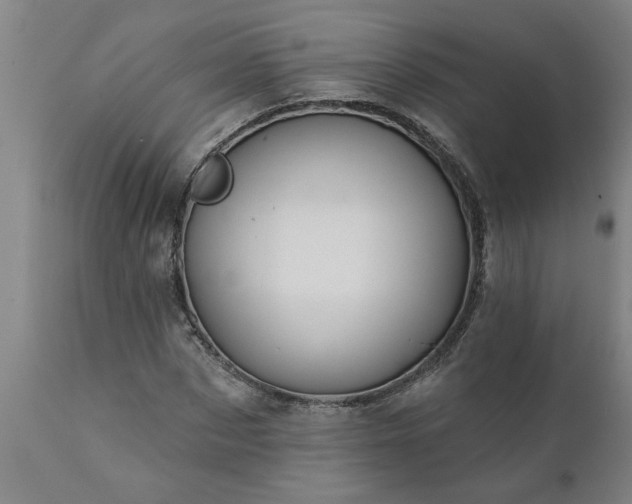X0000111820873200907301254