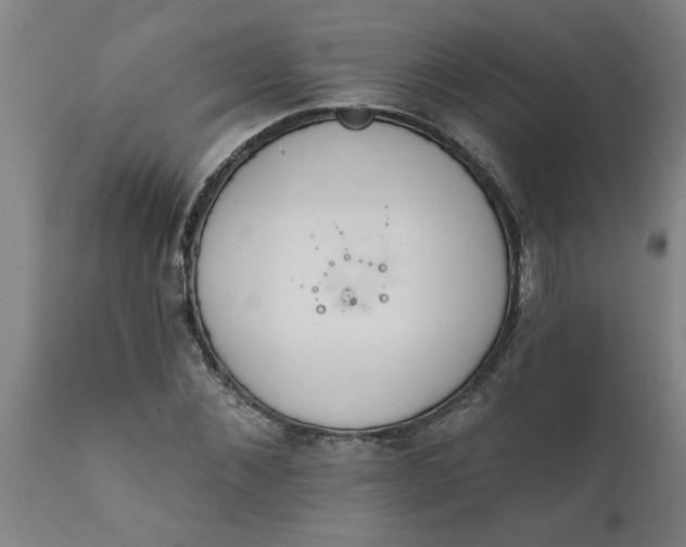 X0000111820876200907301254