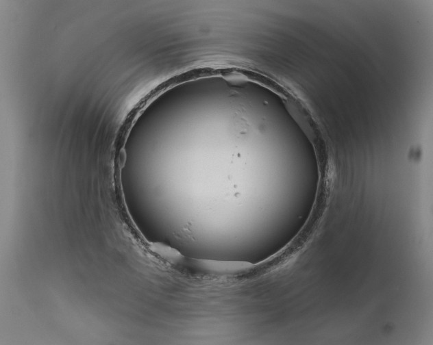 X0000111820877200907301254