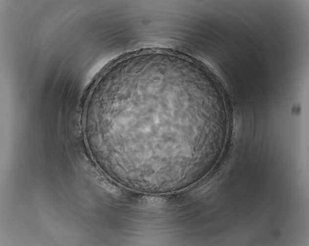 X0000111820878200907301254