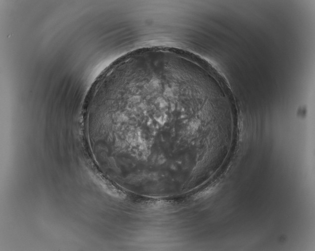 X0000111820879200907301254