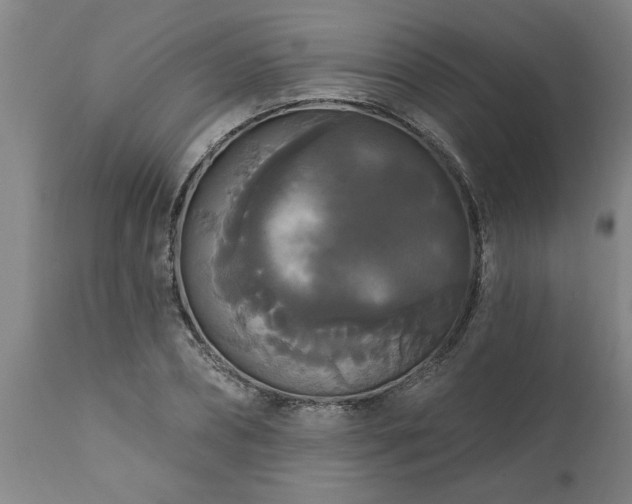 X0000111820882200907301254