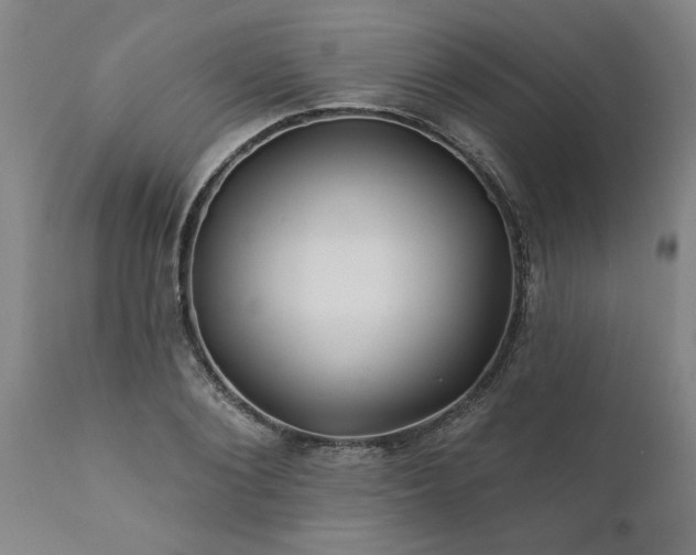 X0000111820884200907301254