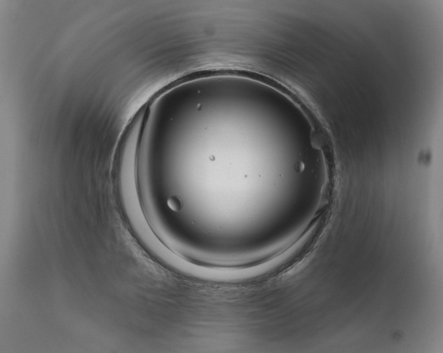 X0000111820885200907301254