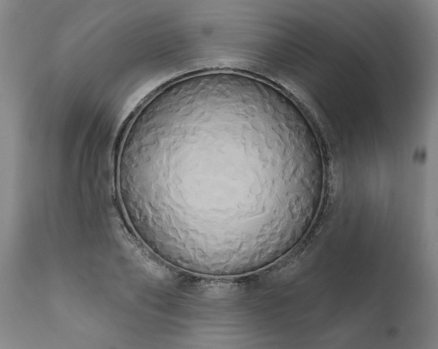 X0000111820886200907301254
