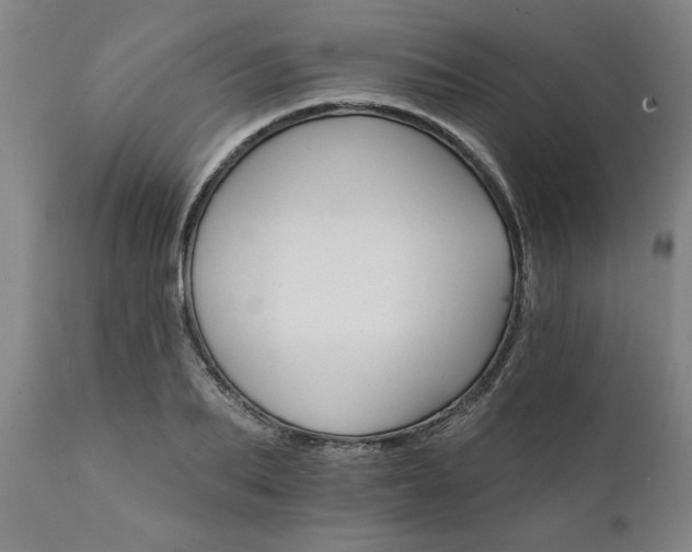X0000111820887200907301254