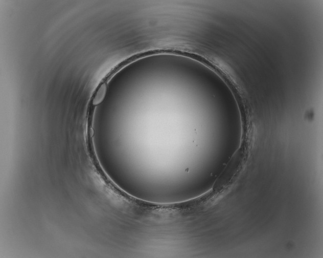 X0000111820888200907301254