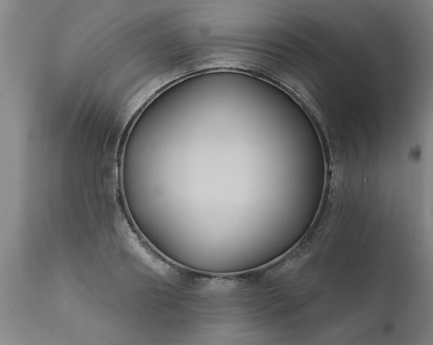 X0000111820890200907301254