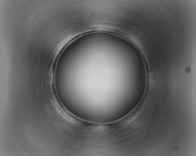 X0000111820891200907301254