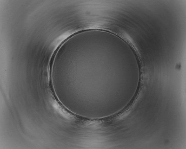 X0000111820892200907301254
