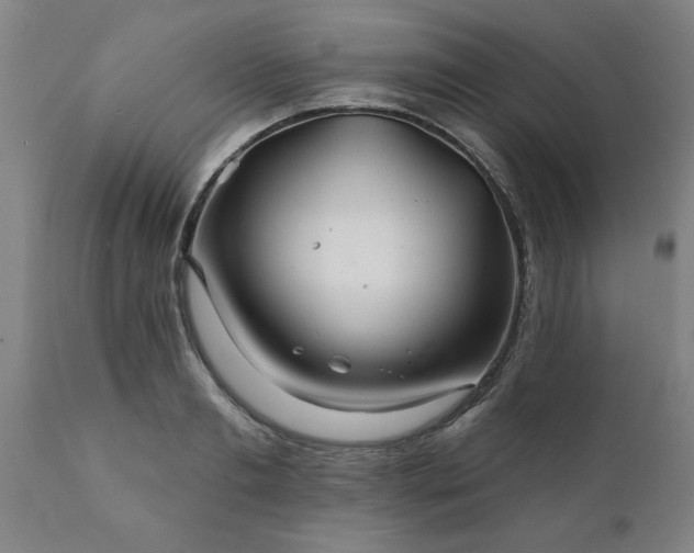 X0000111820893200907301254