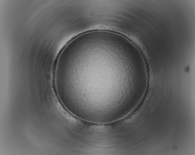 X0000111820896200907301254