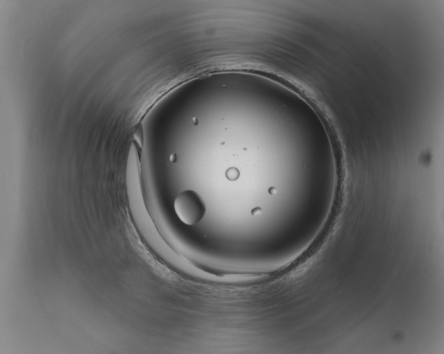 X0000111820897200907301254
