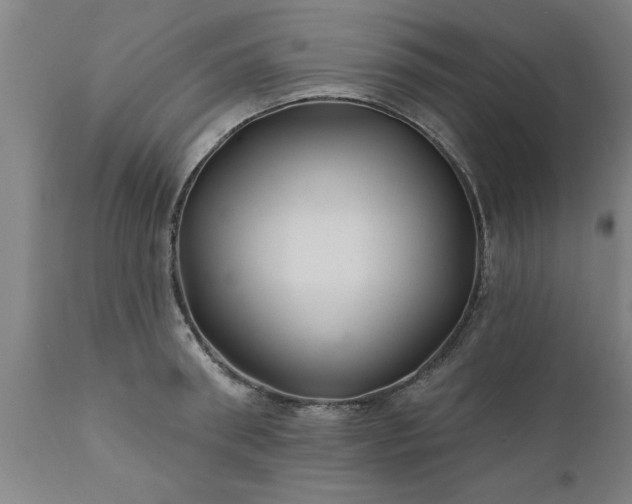 X0000111820898200907301254