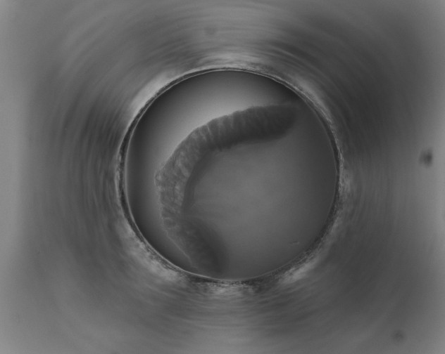 X0000111820899200907301254