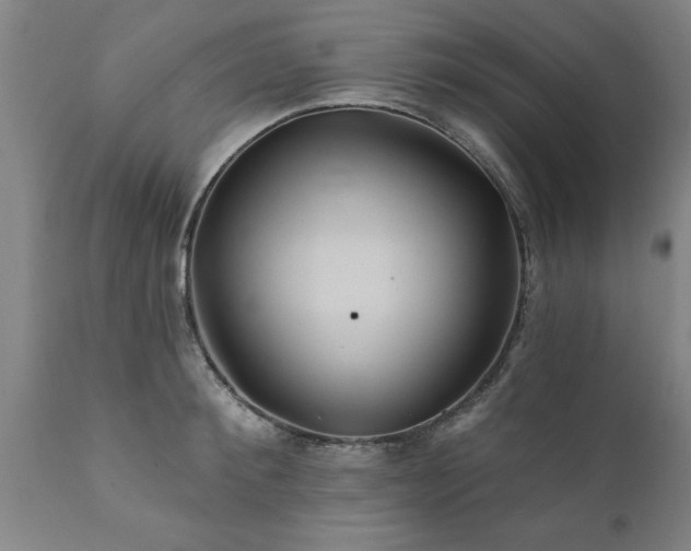 X0000111820900200907301254