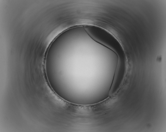 X0000111820901200907301254