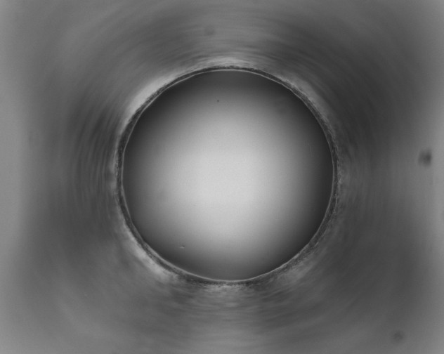 X0000111820902200907301254