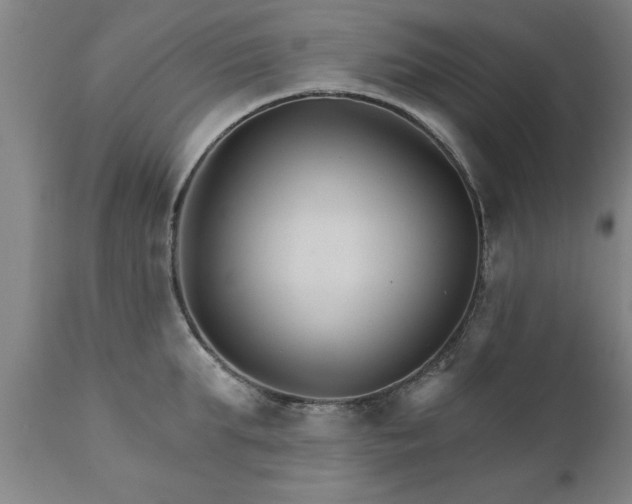X0000111820903200907301254