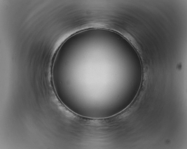 X0000111820904200907301254