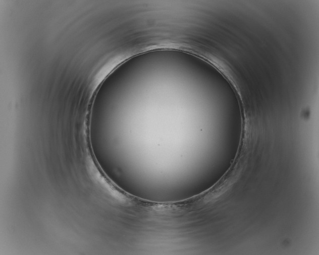 X0000111820906200907301254